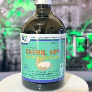 ENTRIL ( EnroFloxacine ) - ĐẶC TRỊ PHÓ THƯƠNG HÀN  TIÊU CHẢY NẶNG – PHÂN NHỚT VÀNG  E.COLI, TỤ HUYẾT TRÙNG